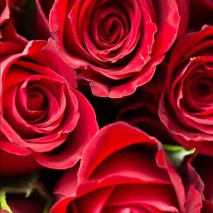 Meet your Posher, Heidy